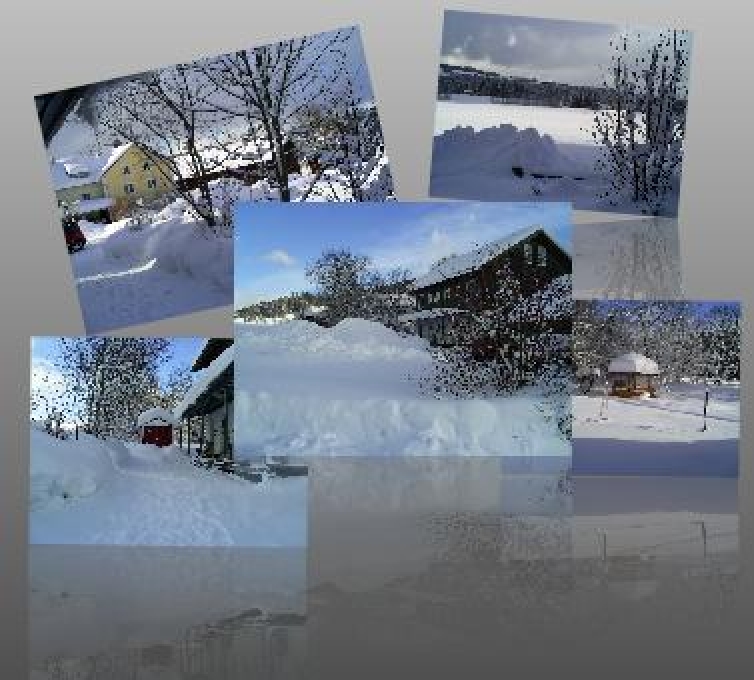 gallery/wp-content-uploads-2021-01-Hammerm-C3-BChle-Winter